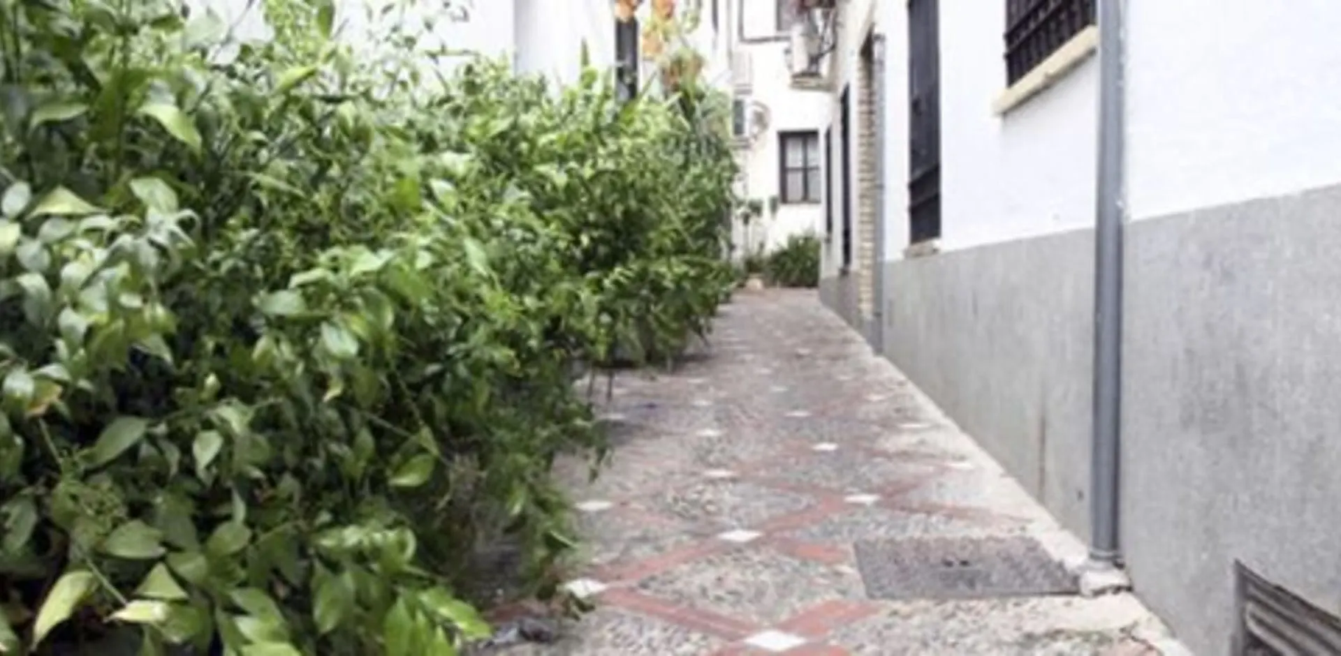 Apartamento Juderia Mezquita Apartment Cordoba